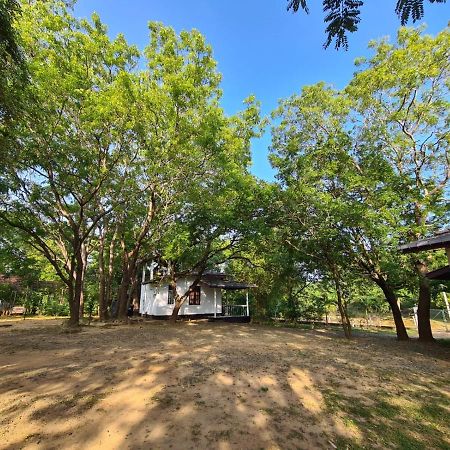 Katagamuwa Rest Hotel กตรคาม ภายนอก รูปภาพ