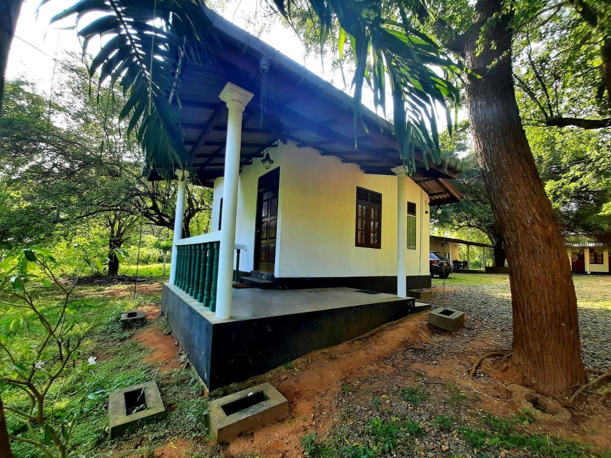 Katagamuwa Rest Hotel กตรคาม ภายนอก รูปภาพ